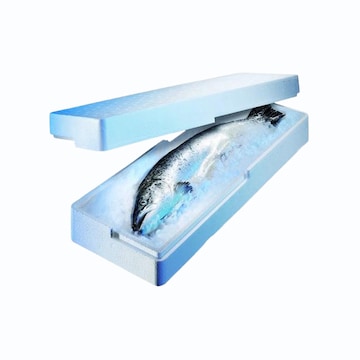 EPS Thermocol Ice Box Price Starting From Rs 65/Pc | Find Verified ...