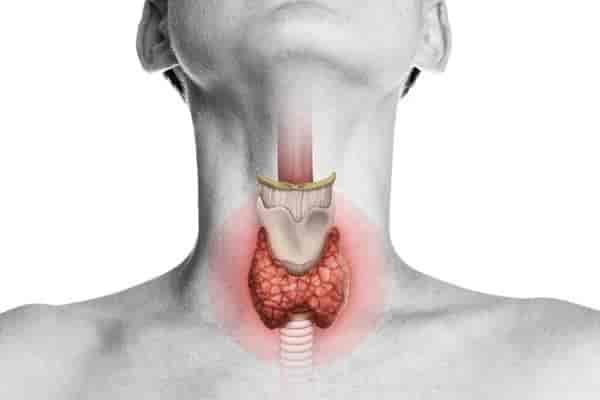 Thyroid Profile Test