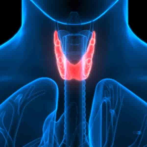 Thyroid Profile Test