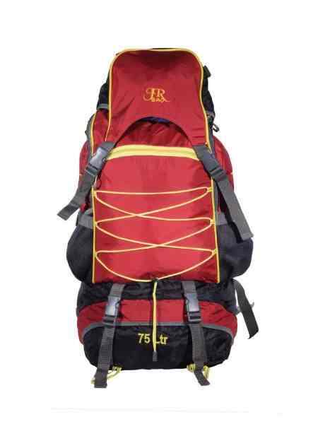 Rough And Tough Backpack in Delhi at 
