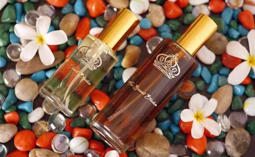 Kenzo Perfume in Delhi Dealers Manufacturers Suppliers Justdial