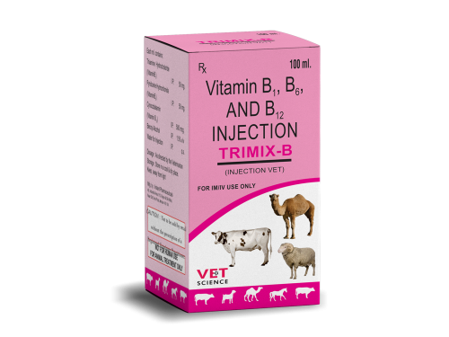 Vitamin B1 B12 Injection in Ahmedabad - Dealers, Manufacturers & Suppliers -Justdial Vitamin B1 B12 Injection in Ahmedabad - Dealers, Manufacturers & Suppliers -Justdial
