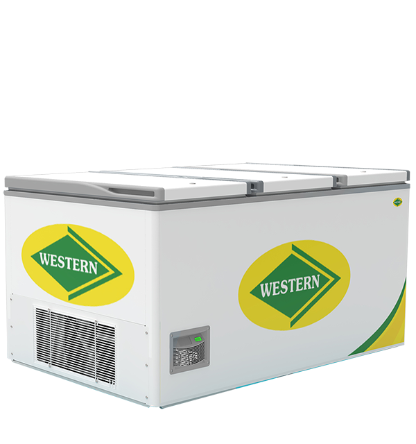 Western Nwhf825h Commercial Freezer Get Best Price from Manufacturers & Suppliers in India