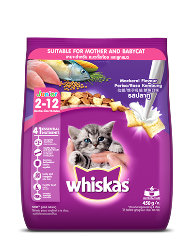 pet essentials powai