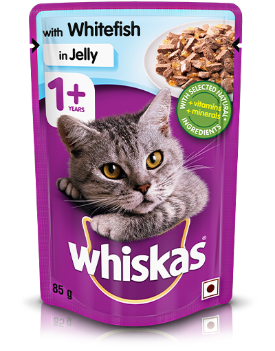 pet essentials powai