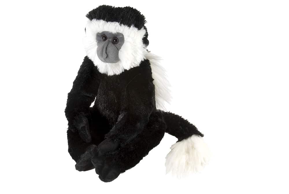 Wild republic monkey store