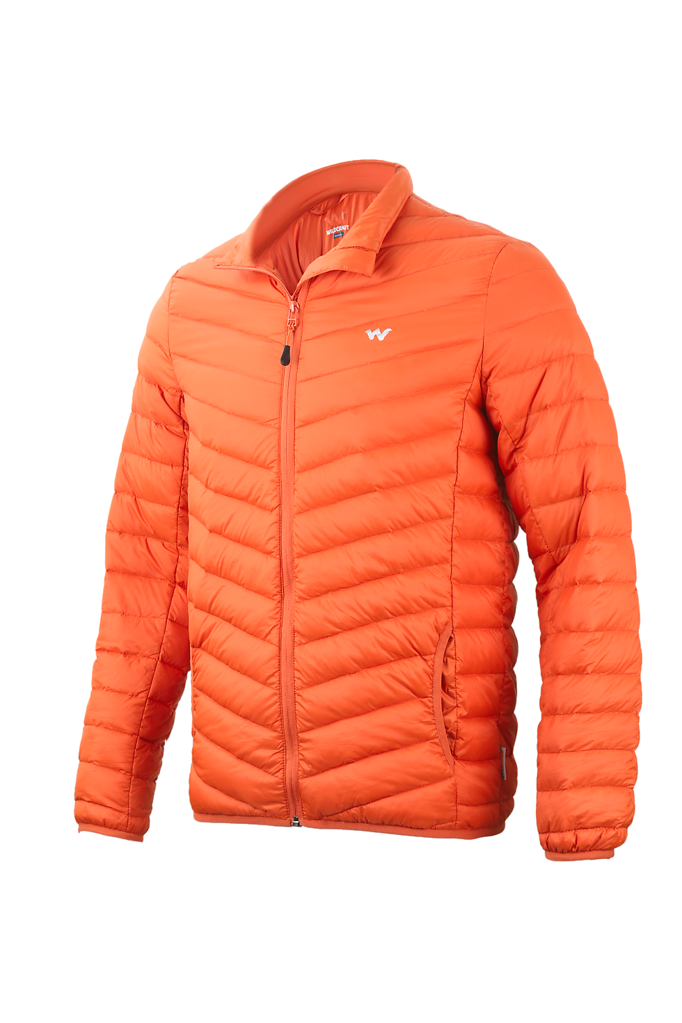 Down Jacket in Mysore - Dealers 