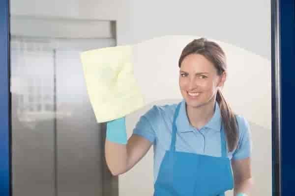 Window Cleaning Service