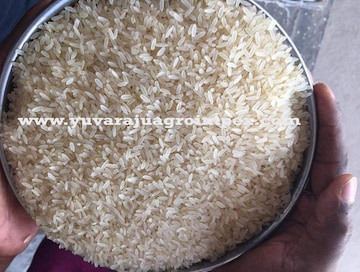 Yuvaraju Agro Impex Polished White Rice - Get Best Price from ...