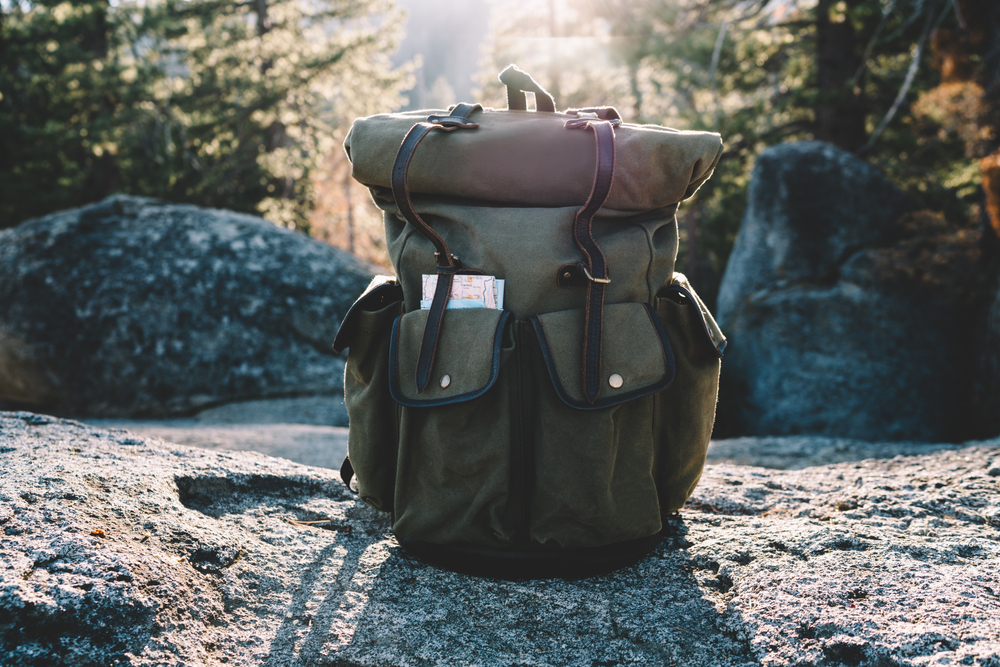 best hiking backpack india The NOMAD 65L+ Travel How to Choose a Trekking