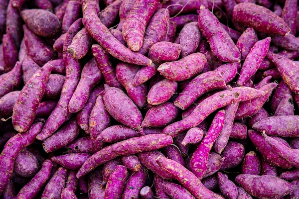 Purple Yam: Know all about this Purple Vegetable - Jd Collections