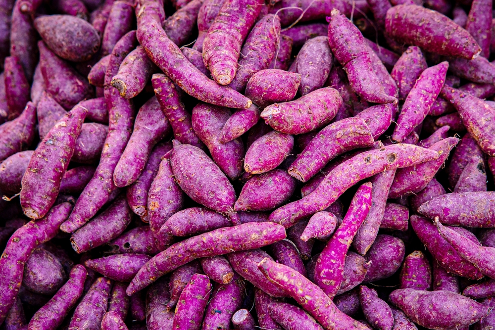 Purple Yam: Know all about this Purple Vegetable - Jd Collections