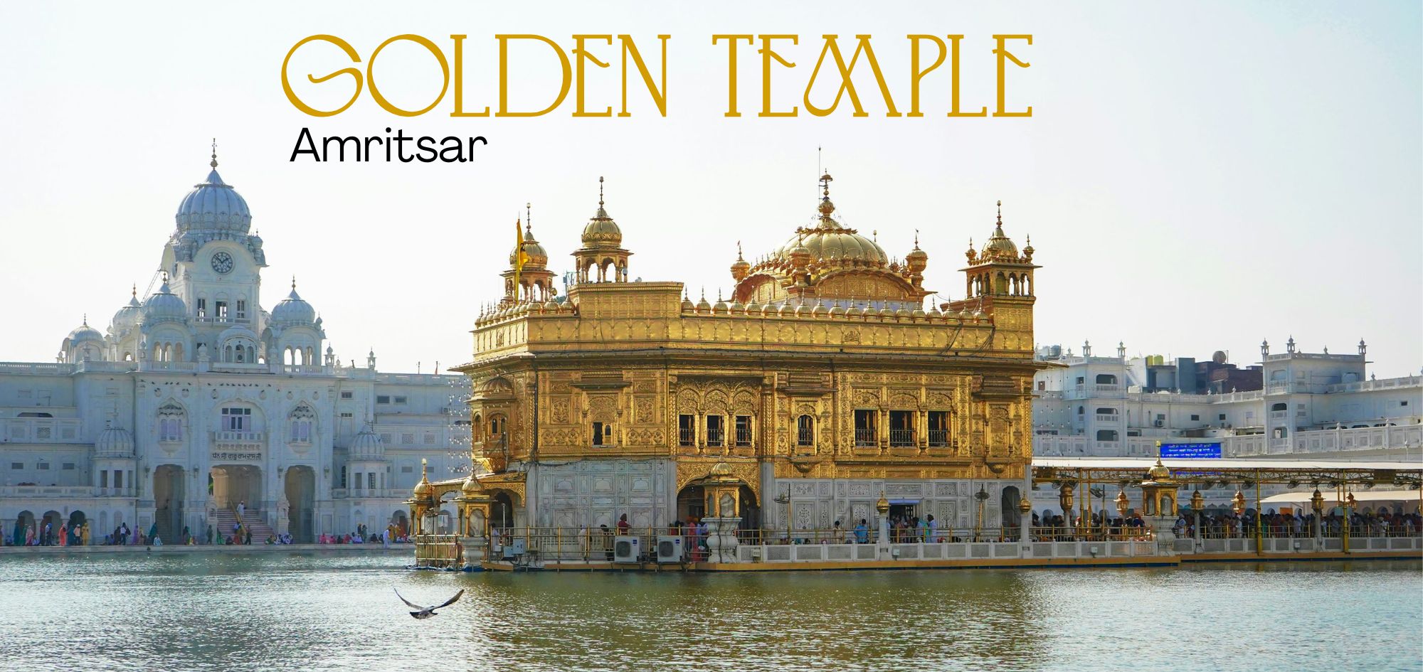 The Golden Temple In Amritsar: Where Divinity Floats On Water - Jd Collections The Golden Temple In Amritsar: Where Divinity Floats On Water - Jd Collections