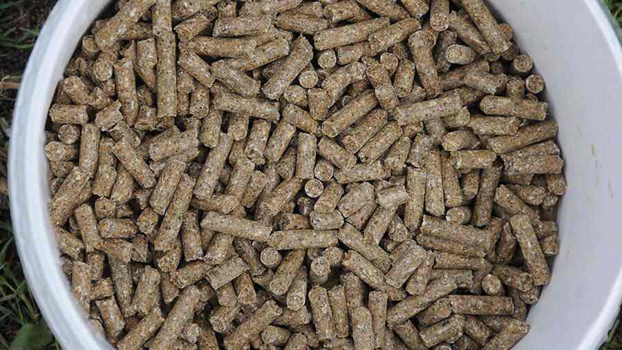 Mohantarp Animal Meal Get Best Price from Manufacturers & Suppliers