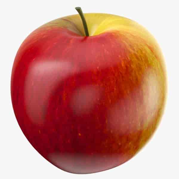 Apple Fruit Importers Get Best Price from Manufacturers & Suppliers