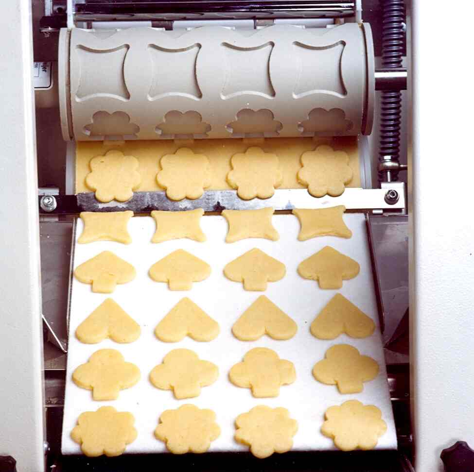 Biscuit moulding machine online