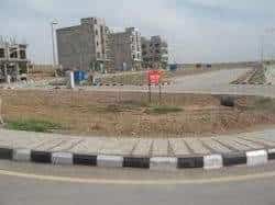 Estate Agents For Commercial Plot