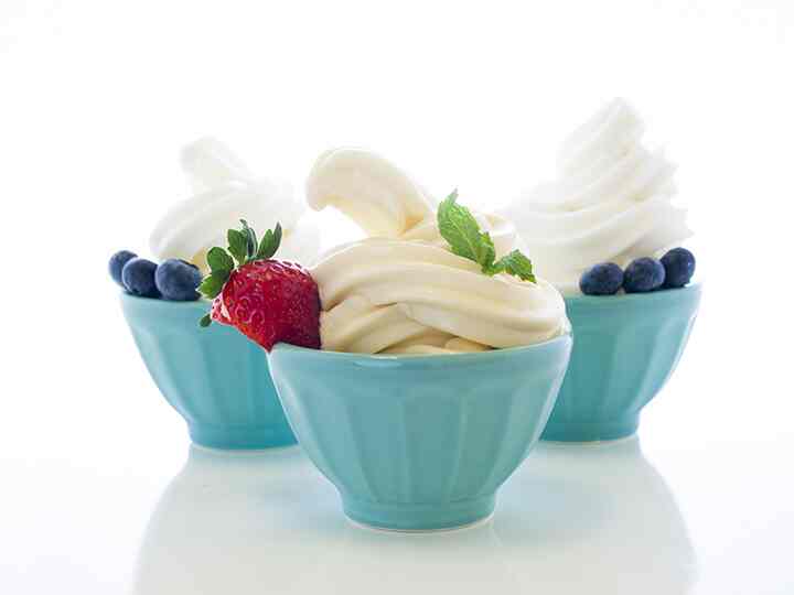 Schreiber Dynamix Frozen Yoghurt Dessert Get Best Price from