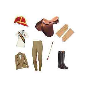 Horse Accessories Price Starting From Rs 3 540 Pc. Find Verified Sellers in Ahmednagar JdMart