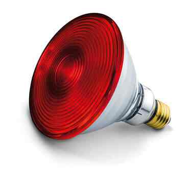 Osram infrared lamp hotsell