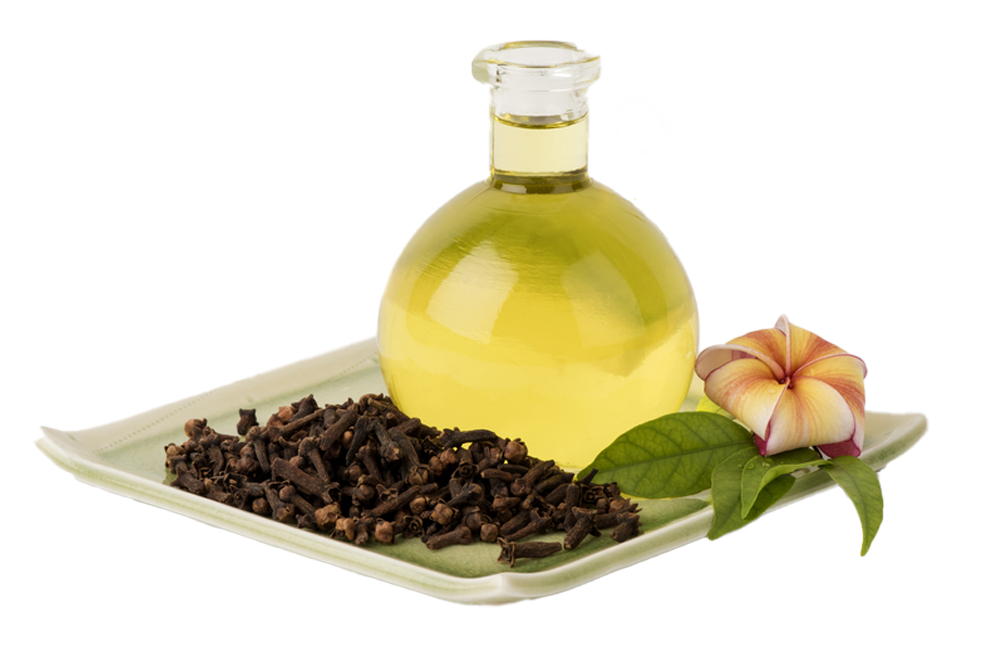 Non Edible Oil in Belgaum Dealers, Manufacturers & Suppliers Justdial