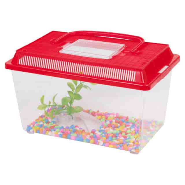 Plastic aquariums cheap