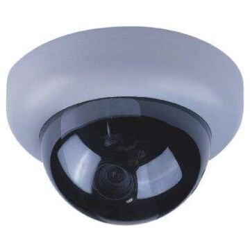 True View Dome Camera - Get Best Price from Manufacturers & Suppliers ...