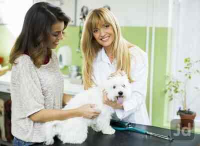 astoria grooming holistic pet spa