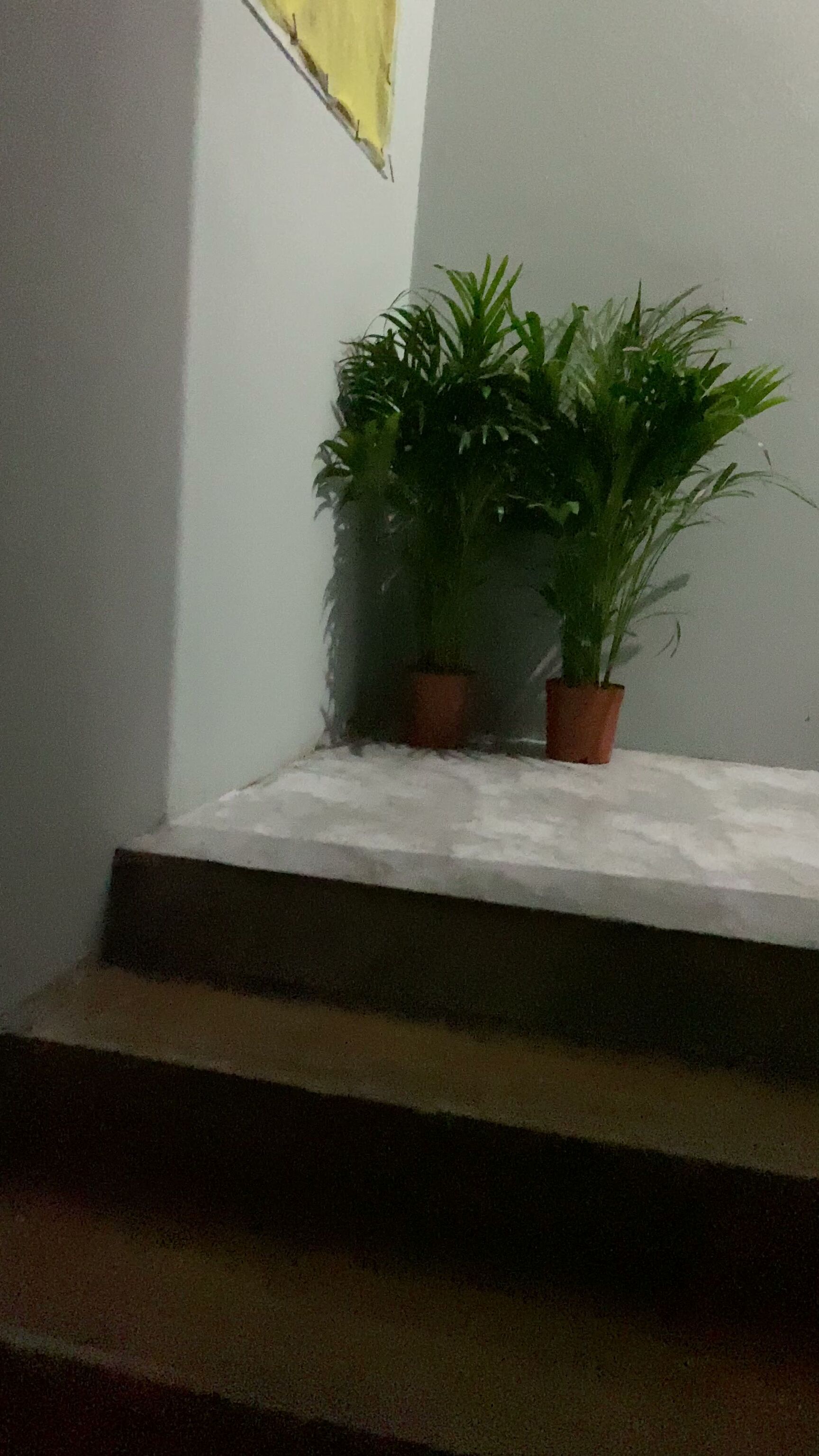 Gallery 18
