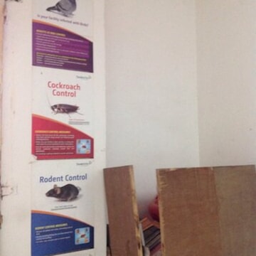 Pest Control Services For Housefly in Himatnagar - Page 3