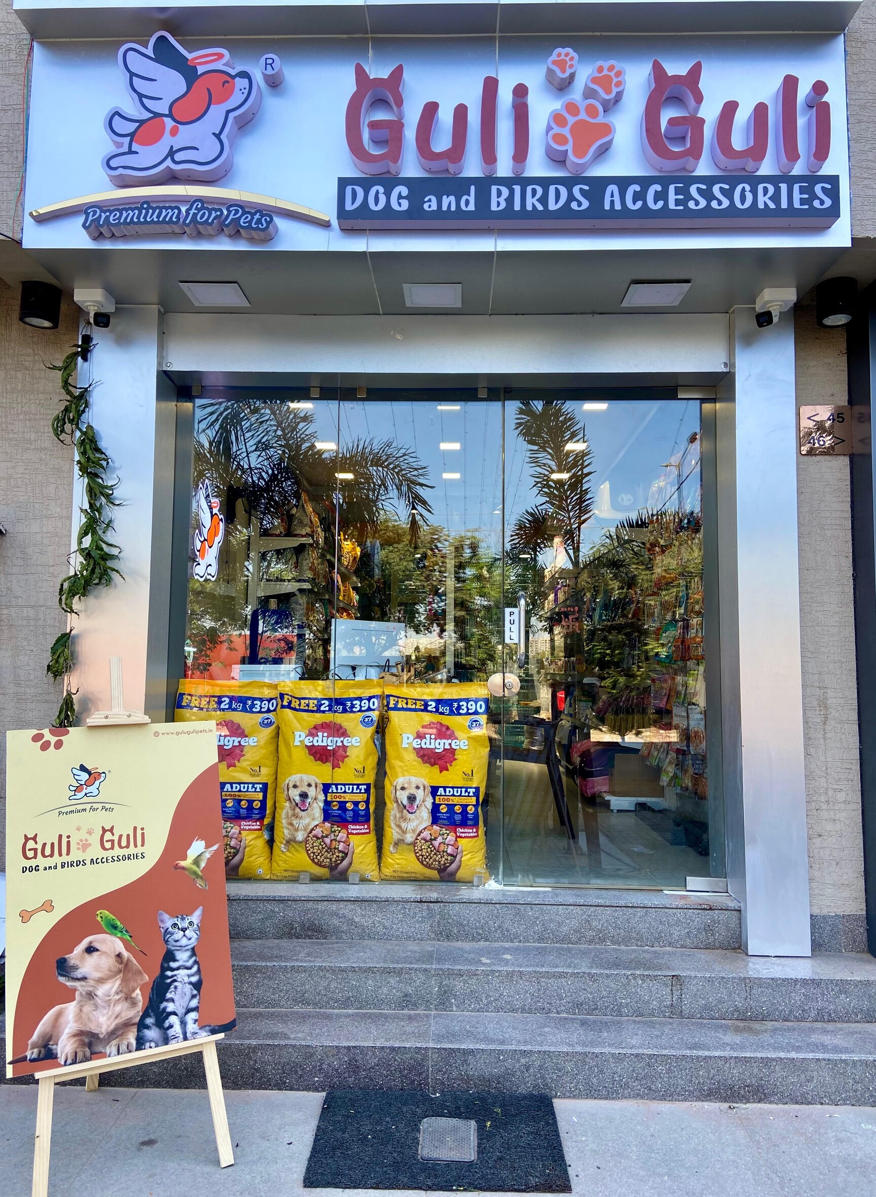 Mohali Chandigarh Pet Shop And Grooming Guli Guli Pet Shop In