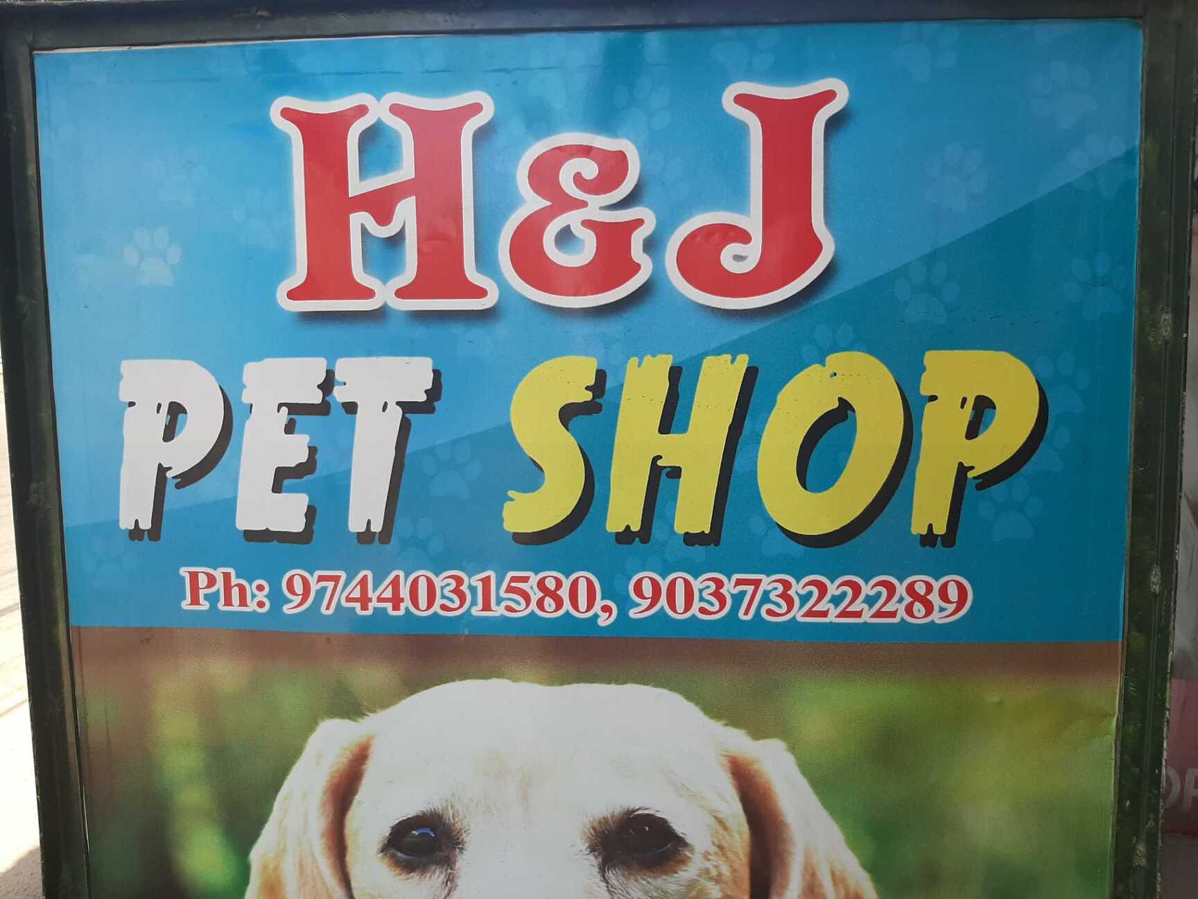 j & j pet shop