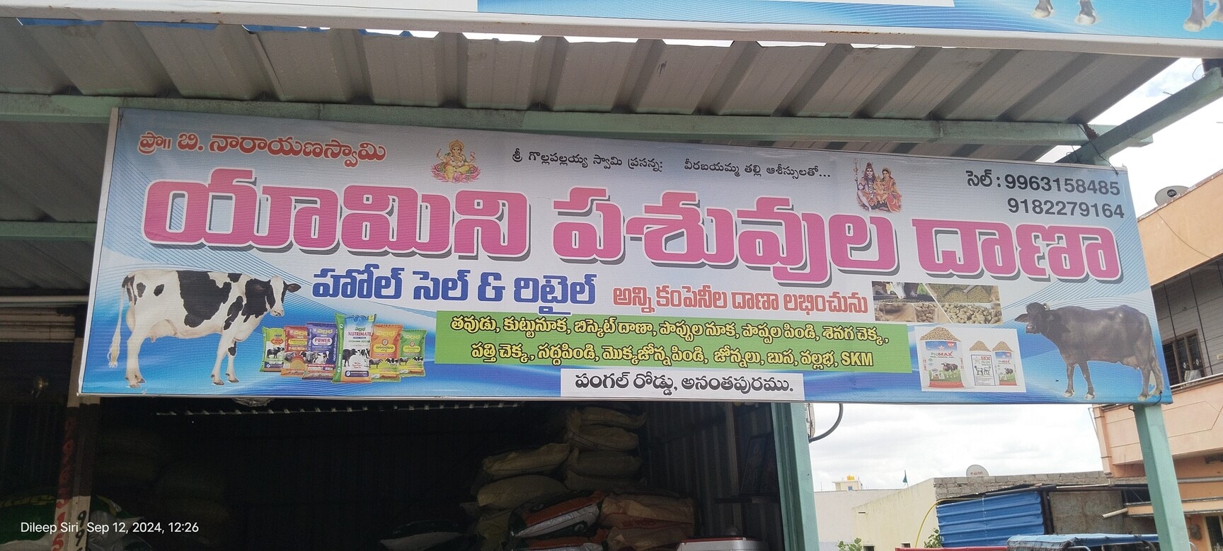 Top Cow Suppliers in Anantapur - Best Cow Dealers near me - Justdial