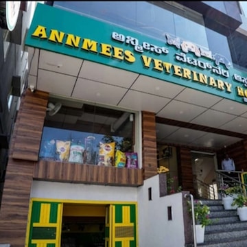 Top Pet Shops For Cat in Bangalore Best Pet Shops For Kitten Justdial