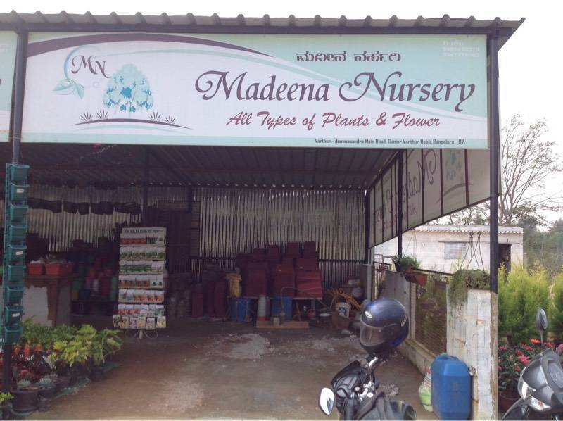 Catalogue Madeena Nursery in Varthur , Bangalore Justdial