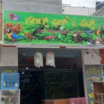 Swimming accessories shop near me cheap