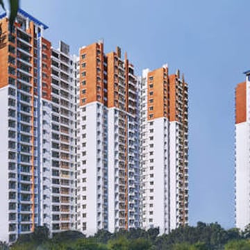 Prestige misty waters