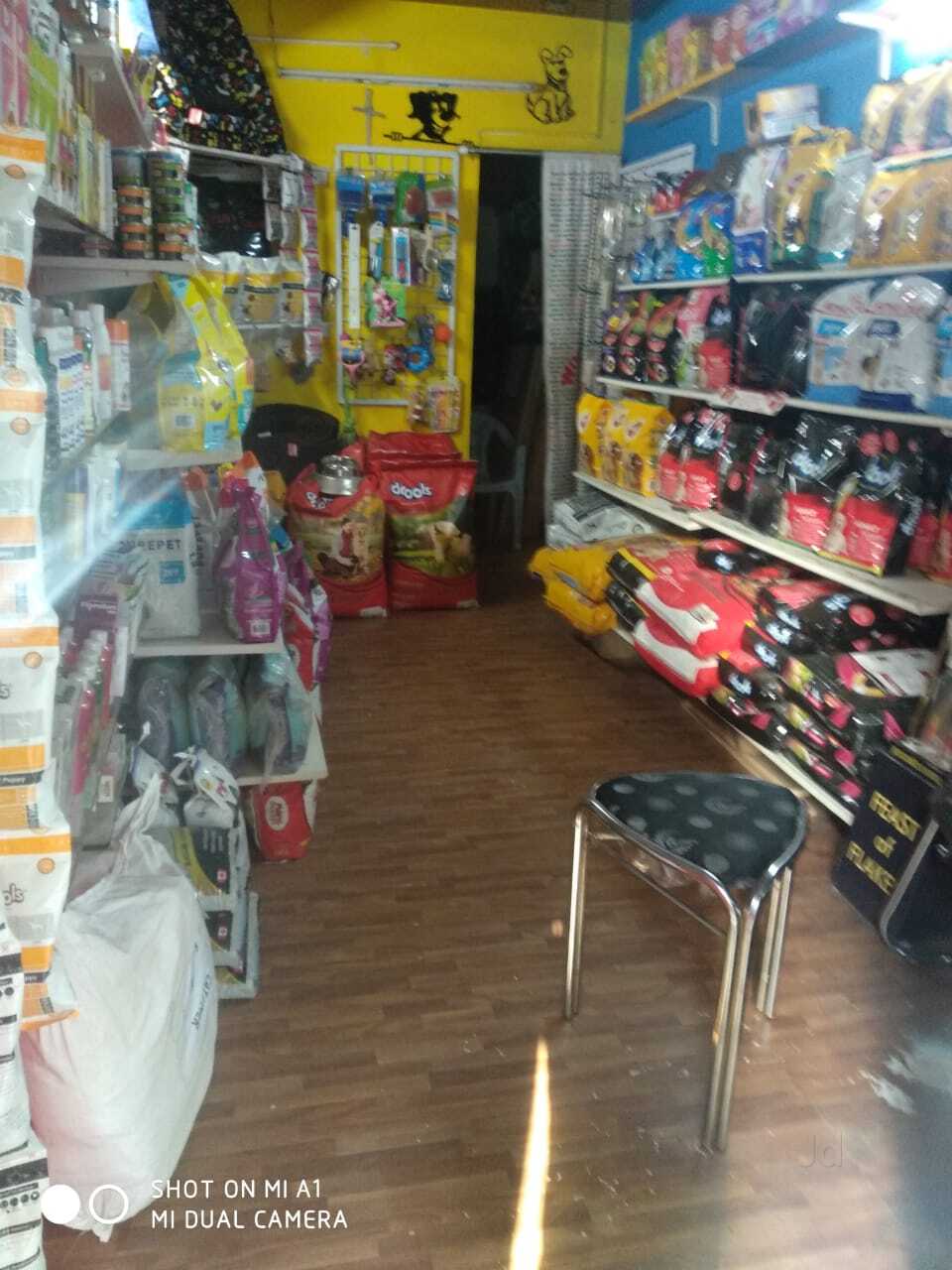 T K Pet Store in Indira Nagar 1st Stage,Bangalore Best Pet Shops For