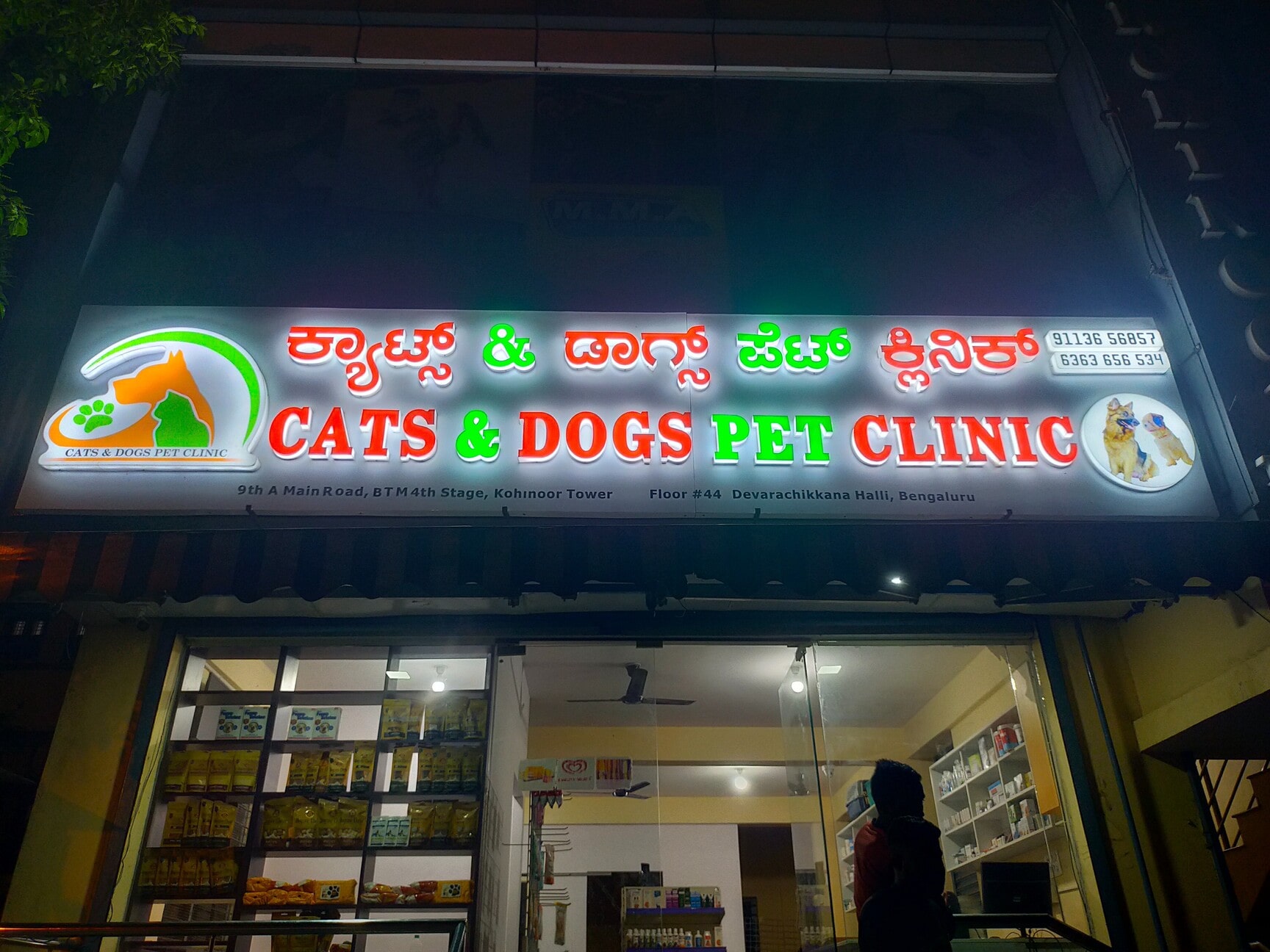 Pet shops with cats hotsell near me