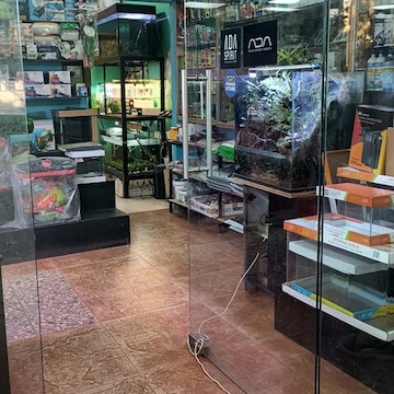 Aquarium Store in Indiranagar Bangalore Best Aquarium Accessory Dealers near me in Bangalore Justdial