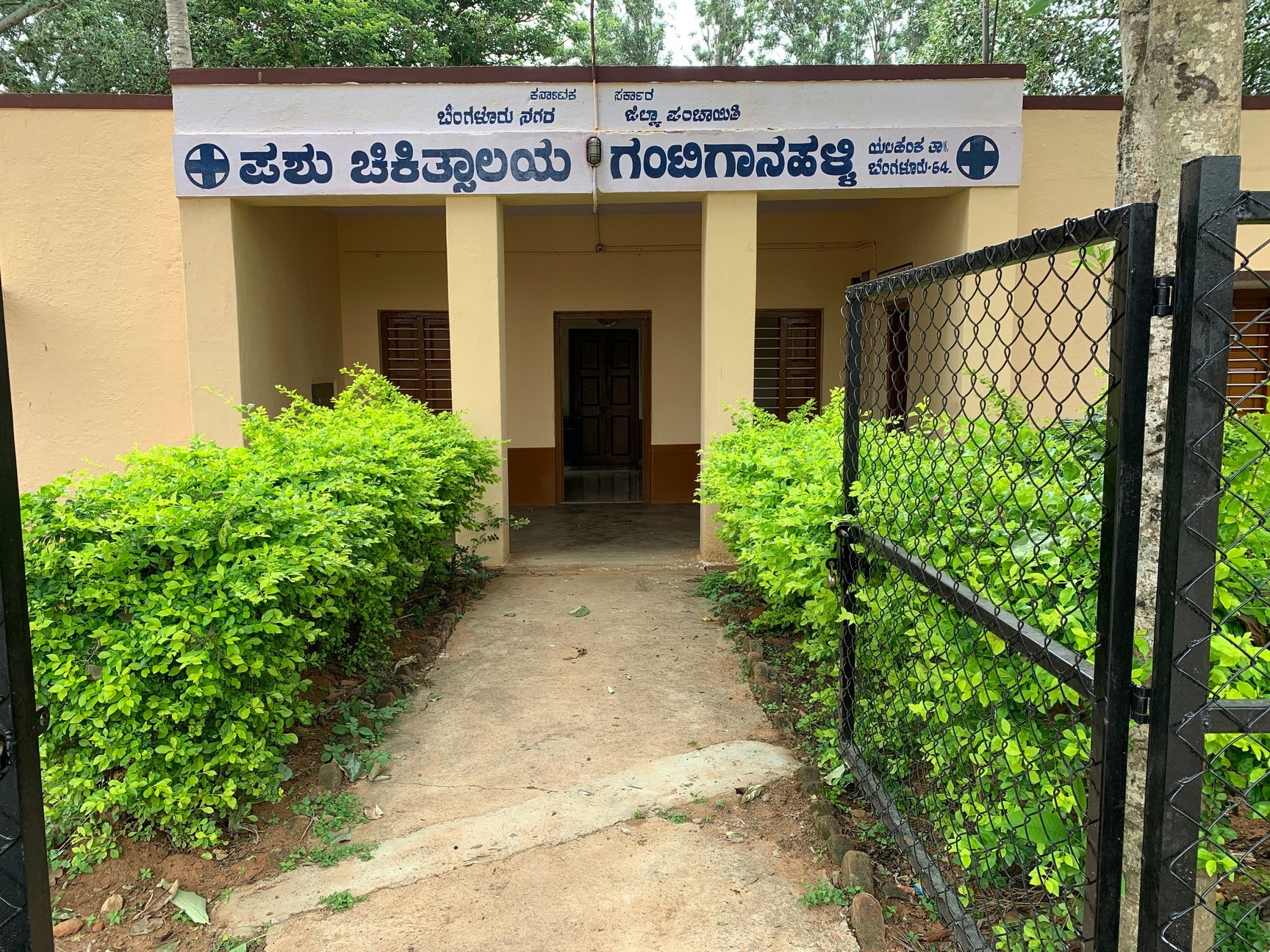 Government Veterinary Mumbai Dog Hospital Near Me Open Photos Of