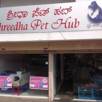 Cat showroom in bangalore outlet