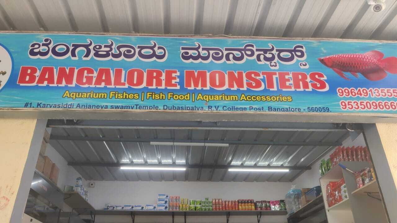 fish aquarium accessories in bangalore Bangalore Monsters in R V Road,Bangalore - Best Aquarium Accessory Dealers  near me in Bangalore