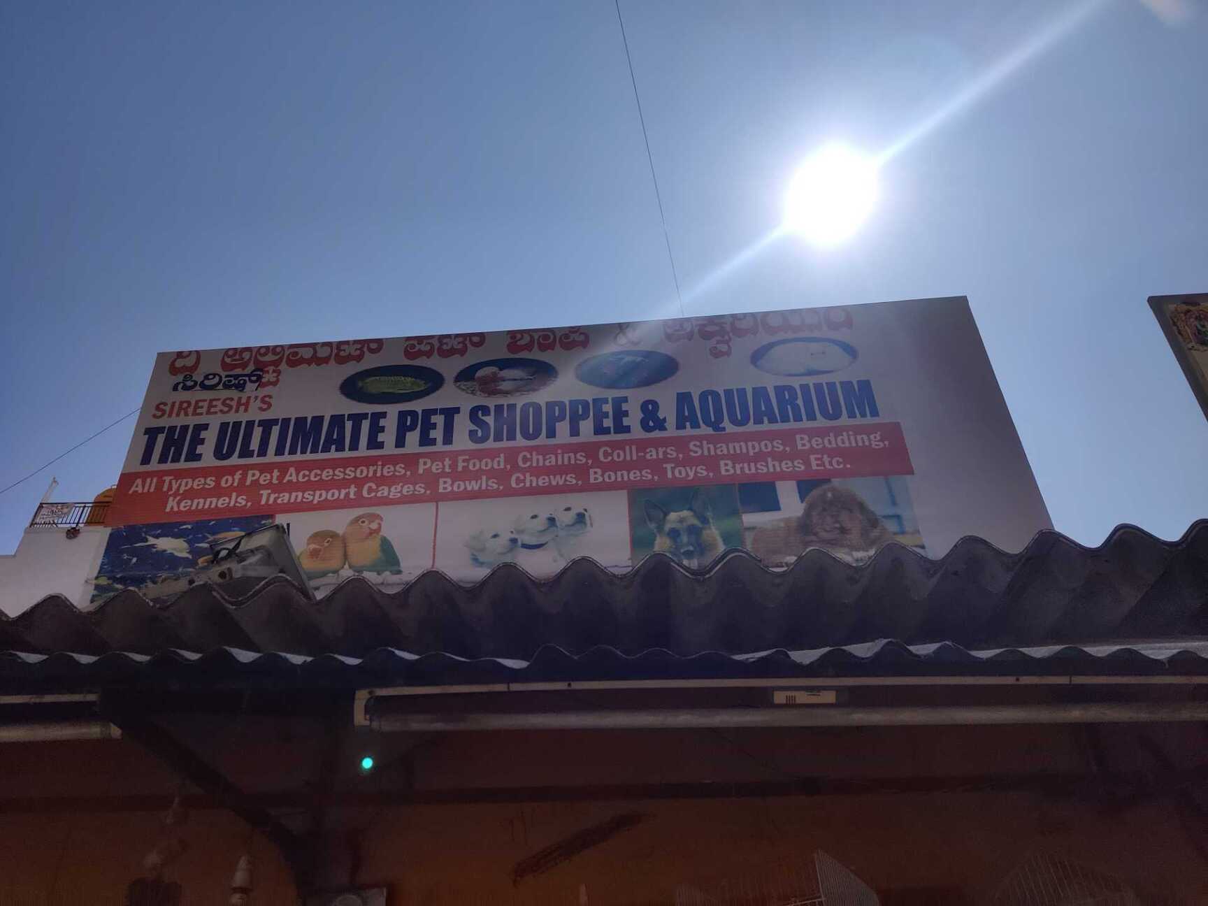 Top Fish Aquarium Dealers in Marathahalli Best Fish Aquarium Shops Justdial