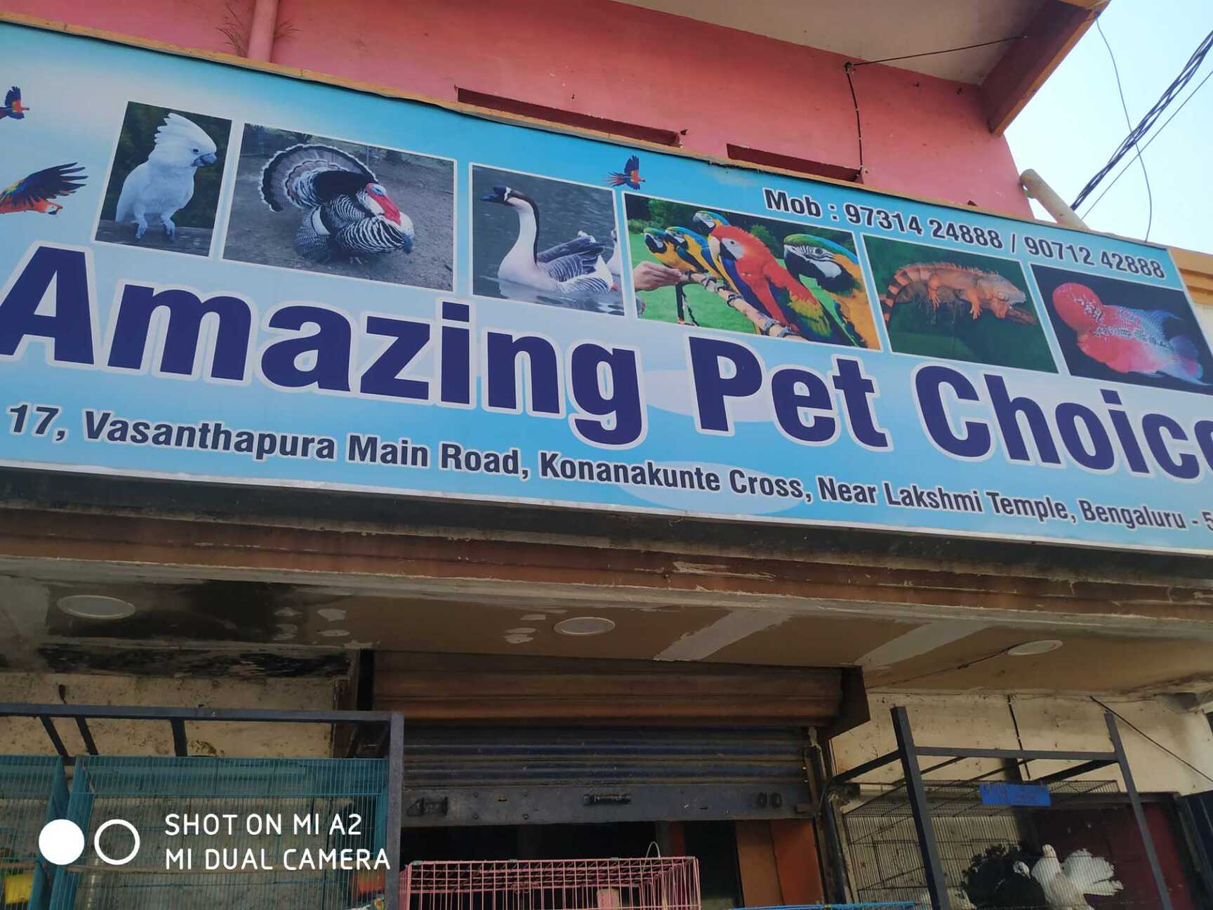 最高の Rasipuram in Trainers Dog Top - Centres Training Dog Best タレントカード