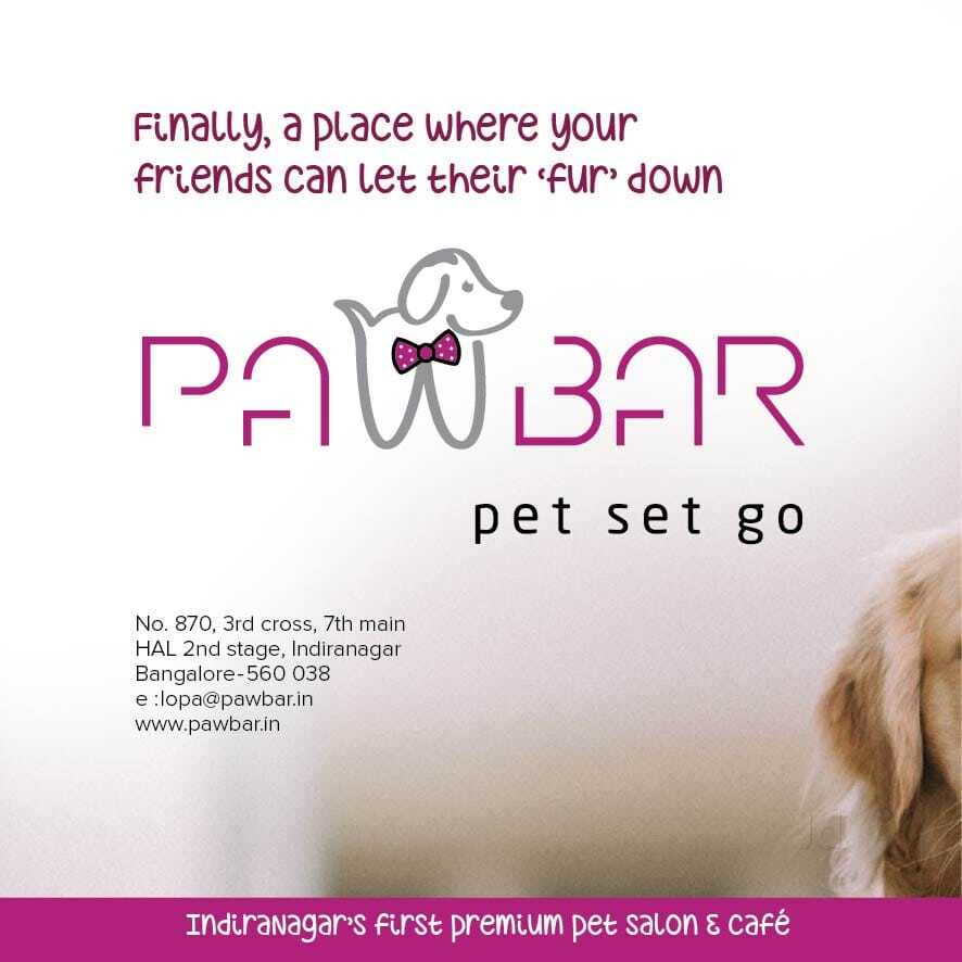 Paw Bar in Indiranagar,Bangalore Best Pet Shops in Bangalore Justdial