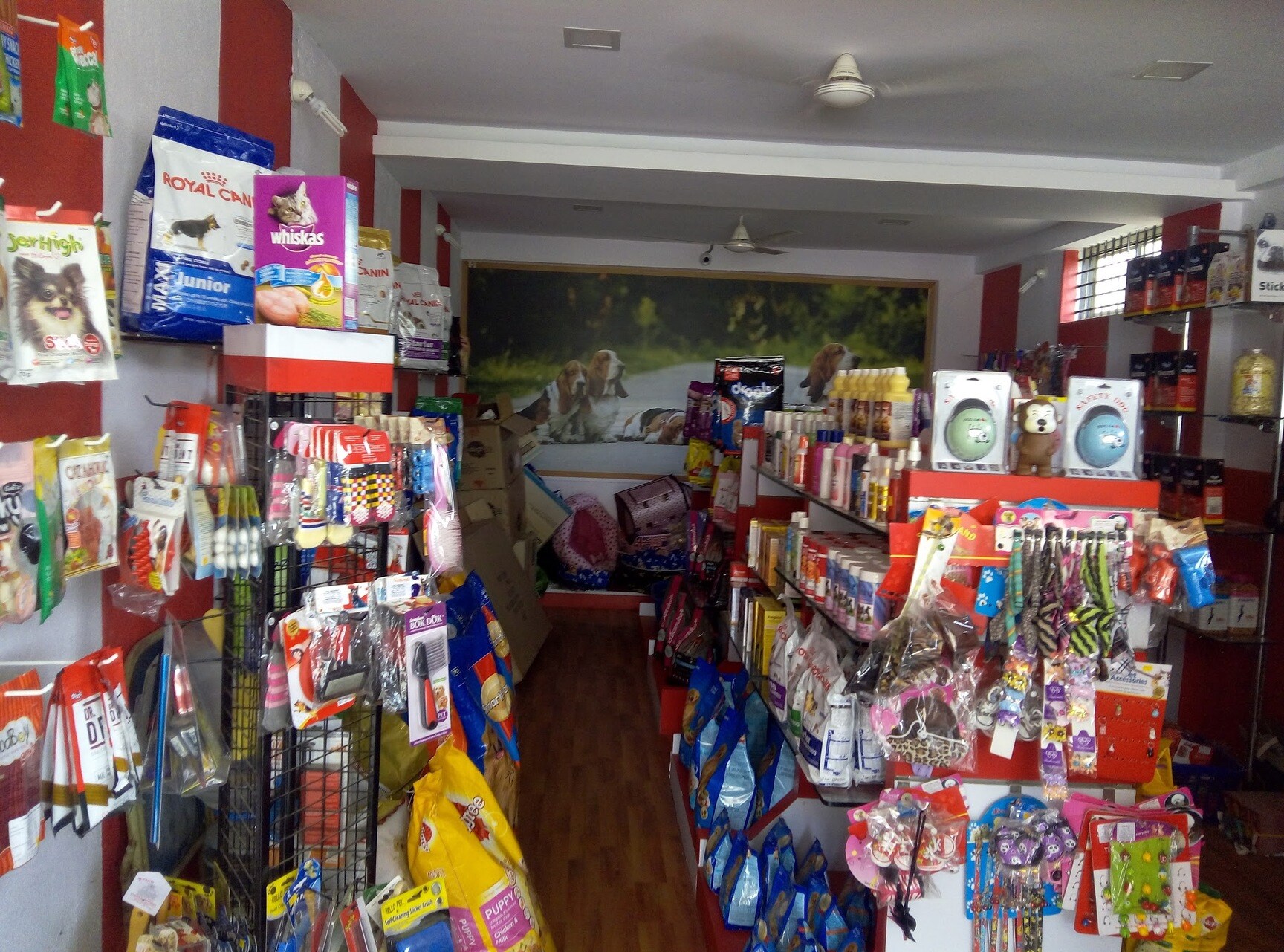 Sanland Kennels in Bannerghatta Road,Bangalore Best Kennel Service in Bangalore Justdial