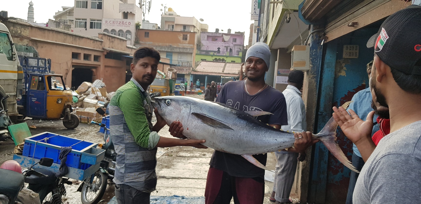 ASR Fisheries in Shivaji Nagar,Bangalore Best Fish Wholesalers in