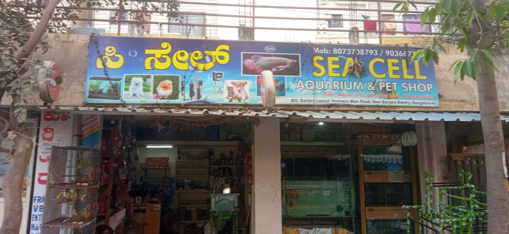Sea Cell Aquarium Pet Shop in Horamavu Bangalore Best Aquarium Accessory Dealers near me in Bangalore Justdial