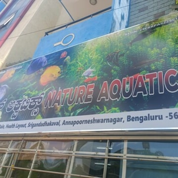 Aquarium shop near marathahalli best sale